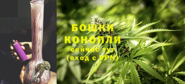 трава Алзамай