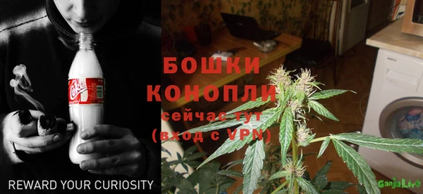 дживик Аркадак