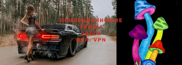 дурь Абдулино