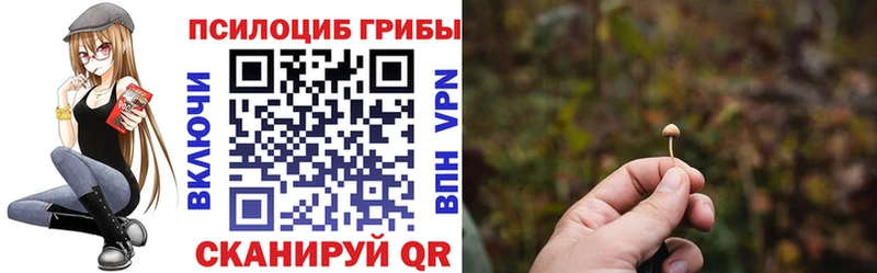 Псилоцибиновые грибы мухоморы  omg сайт  Пенза 